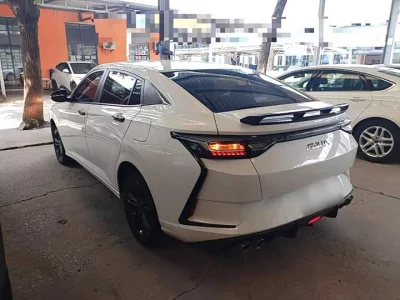 Dongfeng Yixuan