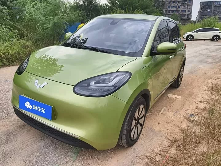 Wuling Bingo