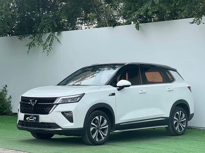 Wuling Star