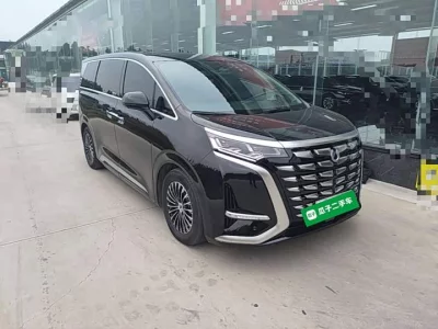 Denza D9