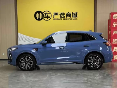 Hongqi HS5