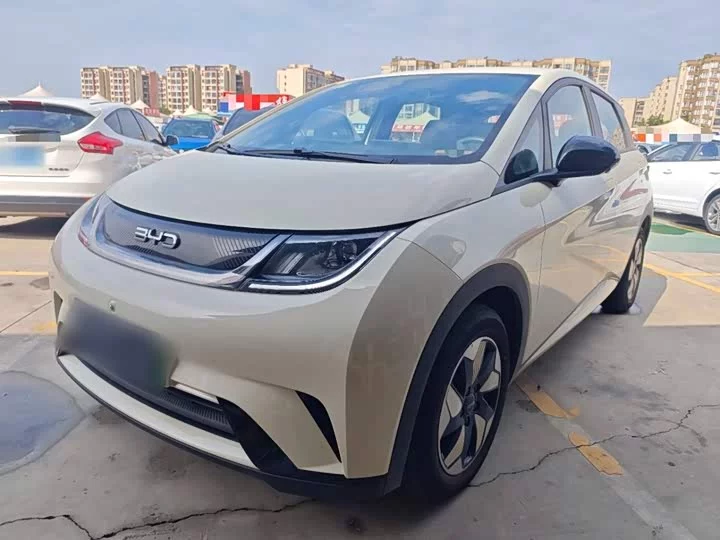 BYD Dolphin