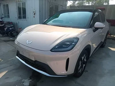 Wuling Bingo S
