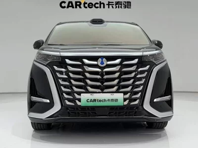 Denza D9