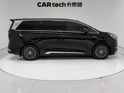 Denza D9