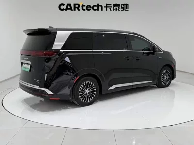 Denza D9