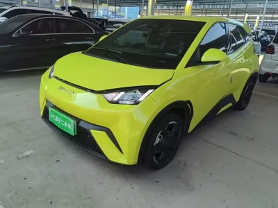 BYD Seagull