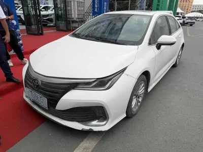 Toyota Asiatic lion