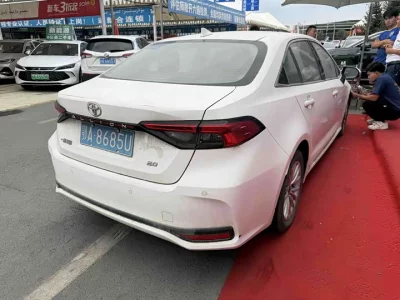 Toyota Asiatic lion