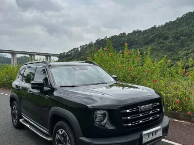 Haval Big Dog DaGou