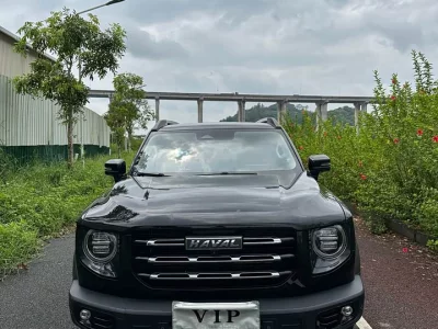 Haval Big Dog DaGou