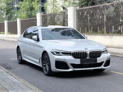 BMW 5 Series New Energy