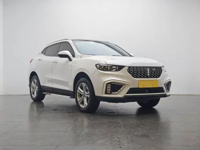 Wey VV5