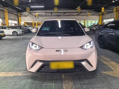 BYD Seagull