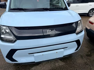 Dongfeng Scenery MINIEV