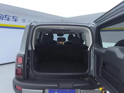 Haval Raptors New Energy
