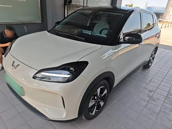 Wuling Bingo PLUS