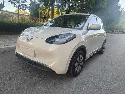 Wuling Bingo