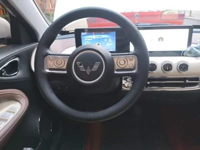 Wuling Bingo