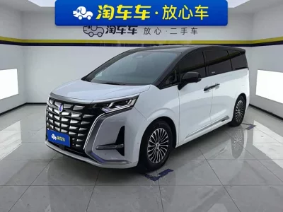 Denza D9
