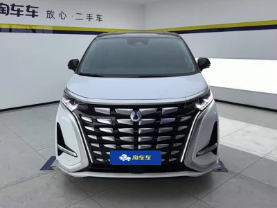 Denza D9