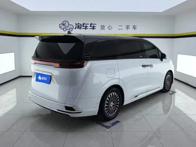 Denza D9