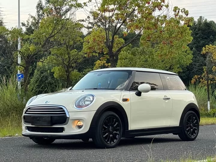 MINI 