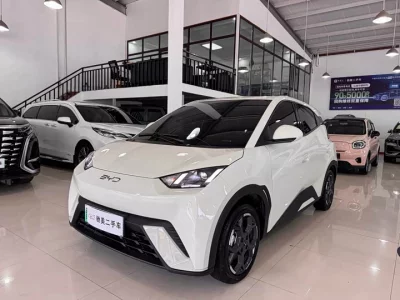 BYD Seagull