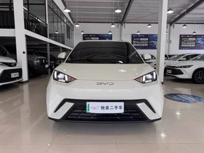 BYD Seagull