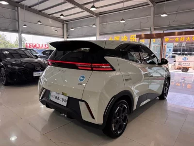 BYD Seagull