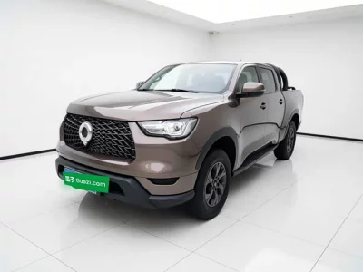 Great Wall Poer, 2022 — купить с доставкой из Китая