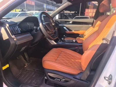 BYD Tang New Energy