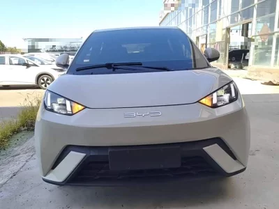 BYD Seagull