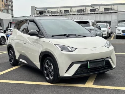 BYD Seagull