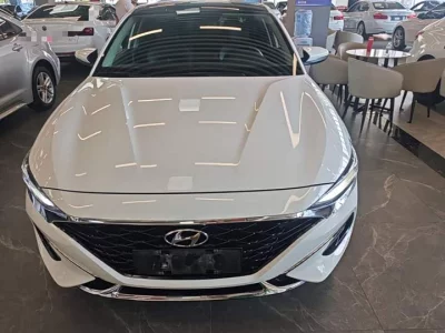 Hyundai Lafesta