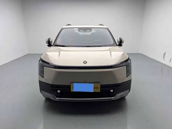 Dongfeng Nano 06