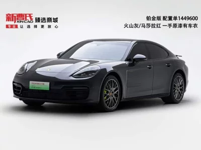Porsche Panamera New Energy