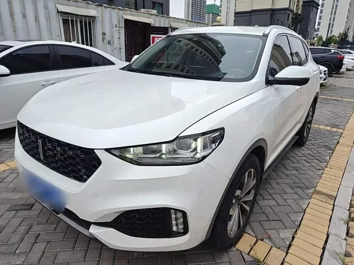 Wey VV6