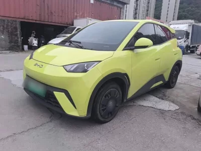 BYD Seagull