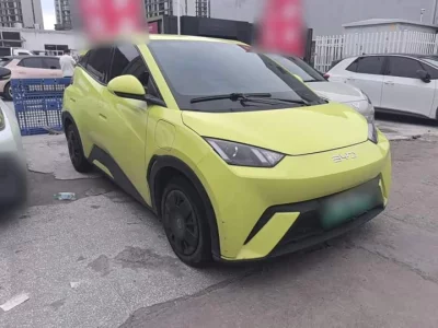 BYD Seagull