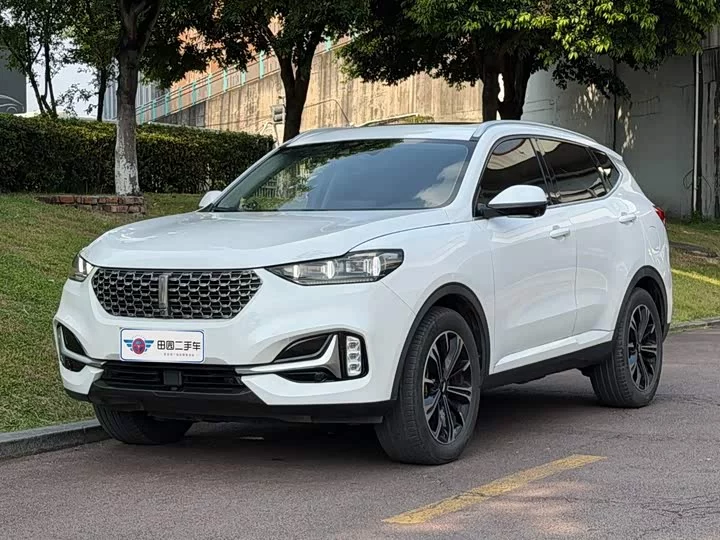 Wey VV6