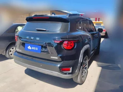 Haval H-Dog (Big Dog PLUS)