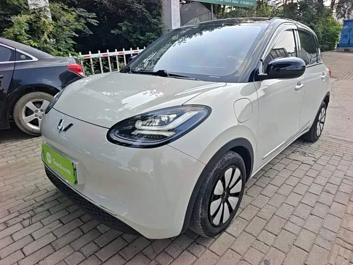 Wuling Bingo