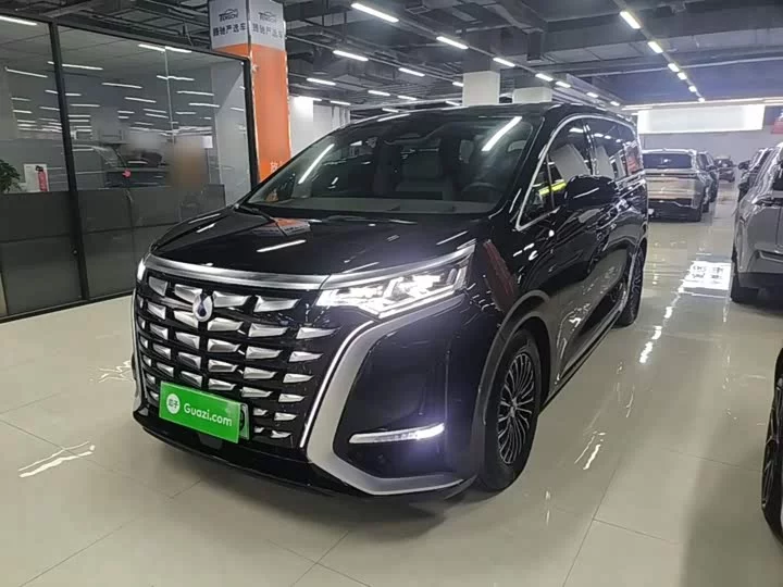 Denza D9
