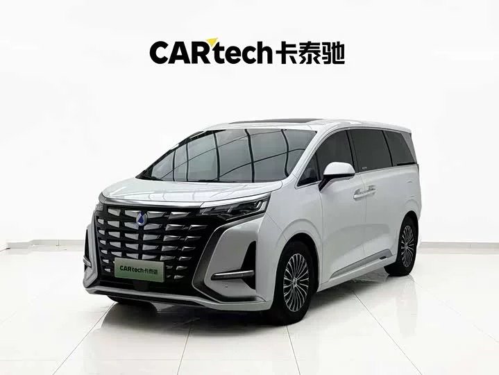 Denza D9