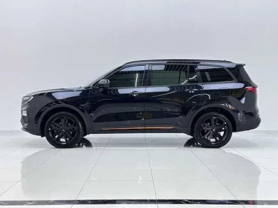 Ford Lingyu