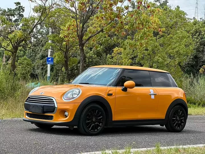 MINI 