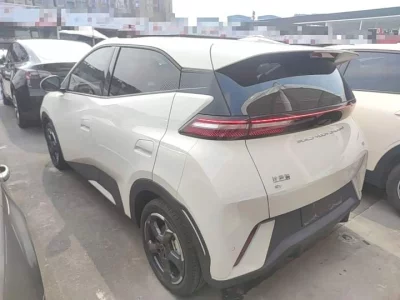 BYD Seagull