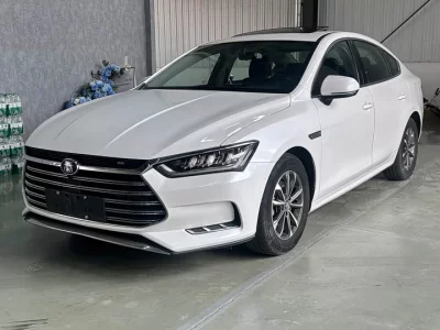 BYD Qin Pro New Energy