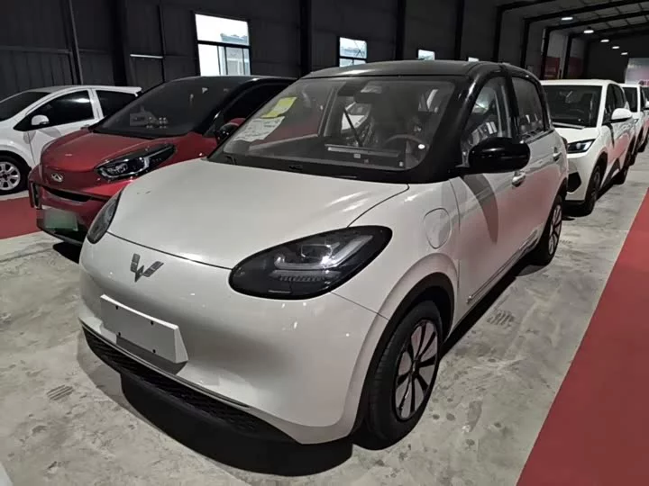 Wuling Bingo